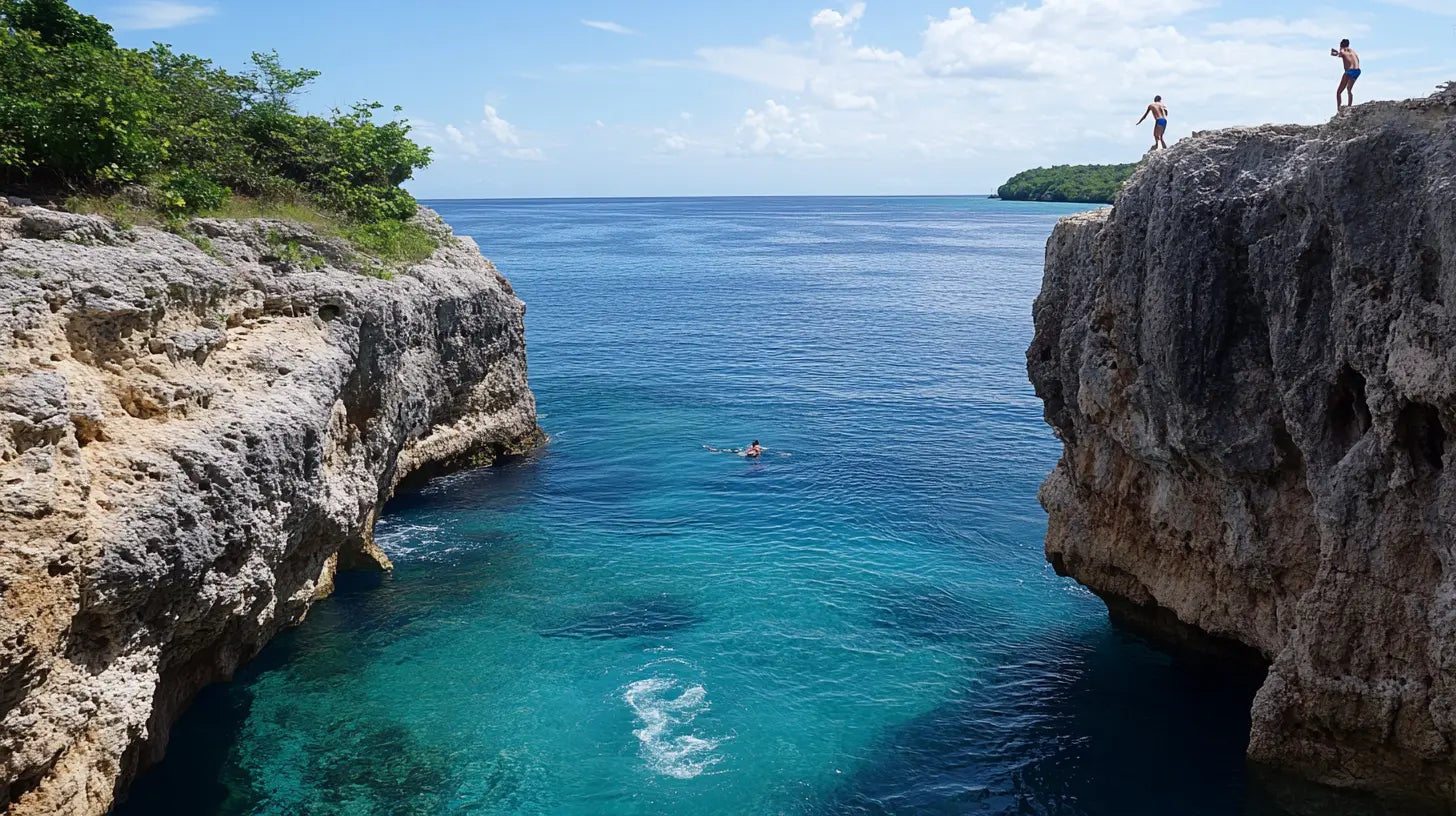 Adaptogens for Cliff Jumping: Functional Mushrooms (Lion’s Mane, Cordyceps, Chaga…) Use and Benefits of these Nootropic Supplements